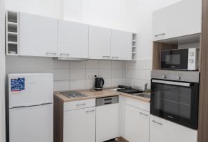 Luxury apartment in the central