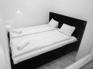 Luxury apartment in the central