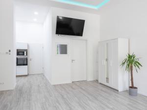 Luxury apartment in the central