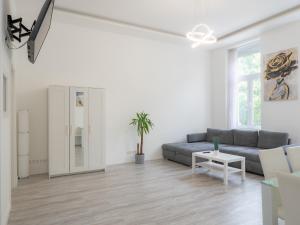 Luxury apartment in the central