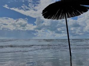 Turtle - Apartment Near the Beach