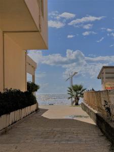 Turtle - Apartment Near the Beach - ENJOY TRAVEL
