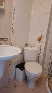 Апартаменти и стаи Анхиало