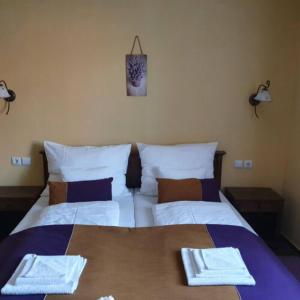 Thermália Vendégházak - Levendula Apartman