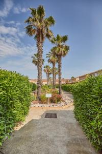Villages vacances Residence Odalys Le Grand Bleu : photos des chambres