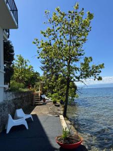 La Villa du Lac - Appartements de vacances - Les pieds dans l-eau : photos des chambres