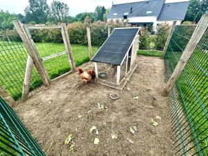 Appartements Le Tiny en Baie - WIFI - Exceptionnel : Appartement 2 Chambres