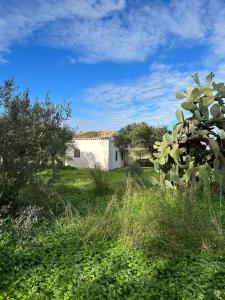 Cottage surrounded by Nature near the Sea - Cefalù