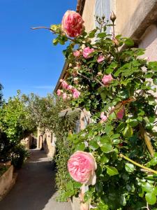 Maisons de vacances Chez Fanny : photos des chambres