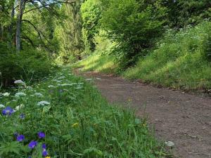 Appartement spacieux avec ménage inclus à Saint-Jean-dAulps - FR-1-573-140