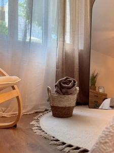 cool&cozzyapartment