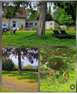 Gite de Fleur - Chateau du Grand Luçay