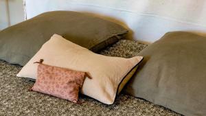 B&B / Chambres d'hotes L-Ombelle : photos des chambres