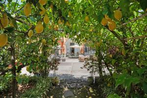 Villetta Sulle Colline Di Sorrento