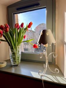 Appartements La Stuga, Gite cocooning au coeur des volcans : Appartement 1 Chambre