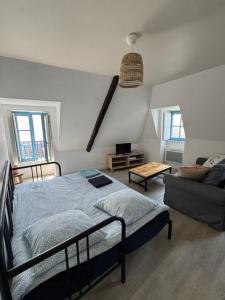 Appartements Le CulSale joli studio au coeur des remparts avec vue imprenable sur les toits : photos des chambres