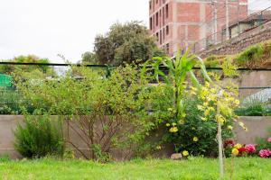 The Life Sweet home - centro Histórico Cusco