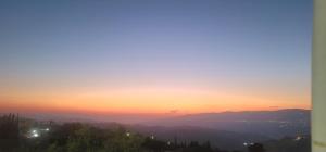 Romana