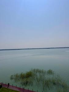 Romantic Solid Lamera Residence