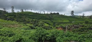 ThisTest - Ubytování bez kategorie ve městě Nuwara Eliya