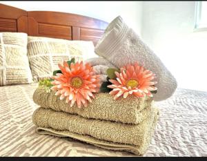 Apartamento Fabi beach Torrevieja