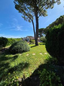 Villas Maison familiale avec Mazet et grande piscine Uzes : photos des chambres