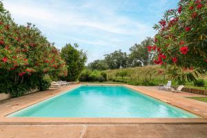 Maisons de vacances Van Gogh : photos des chambres