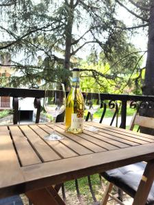 SG Family - Dogana Oasis