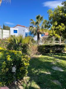 Appartements Jolie Studio dans Village de vacances - Hawai 3 : photos des chambres