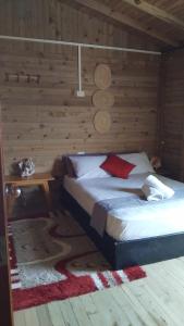 Villa Luz Coastal Sanctuary