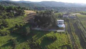 Cheerful 3 bedroom villa with pool in nature