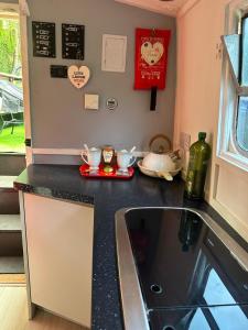 Canal Boat in London