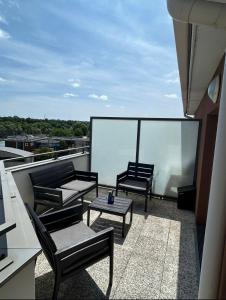 Appartement 45m2 vue Marne grande terasse