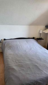 House with garden and barbecue in Cabourg