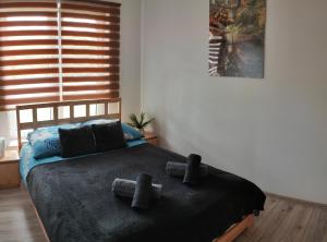Apartament nad Jeziorem w Olecku