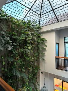 Huong Sen Home