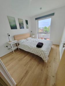 Bright and Modern 1-Bedroom Flat Camp Street