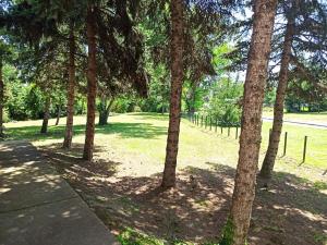 Clementine Apartman
