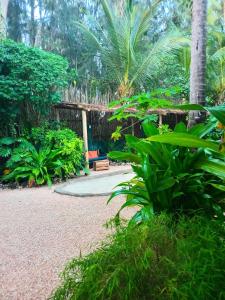 the moon coliving & holiday apartments