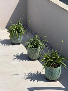 Villa Vida, Medulin - Bazen i jacuzzi