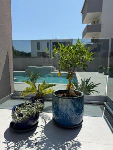 Villa Vida, Medulin - Bazen i jacuzzi