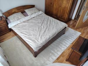 Apartament central