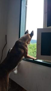 Camping Serra São José