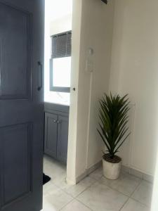 City View Luxury Suite