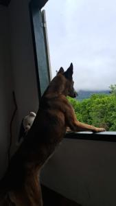 Camping Serra São José