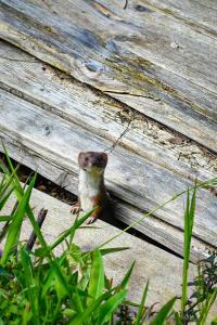 Rifugio Cinque Terre