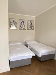 Studio Odrodzenia 5 Centrum Lubina