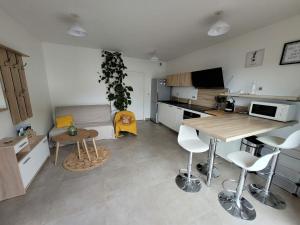 Appartements Superbe T2 avec vue sur FIGEAC : photos des chambres