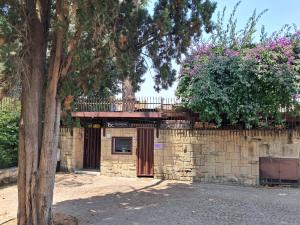 ELEGANTE VILLINO nel verde di Roma