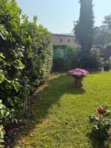 Villas Maison du bien-etre : photos des chambres